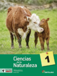 PACK CIENCIAS DE LA NATURALEZA 1 PRIMARIA SERIE ACTIVAMENTE