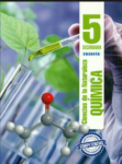 CIENCIAS DE LA NATURALEZA NO. 5 - QUIMICA - SECUNDARIA