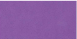 Foami Morado 10/1